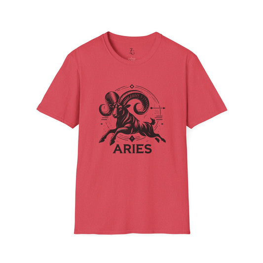 Aries Softstyle T-Shirt/Black