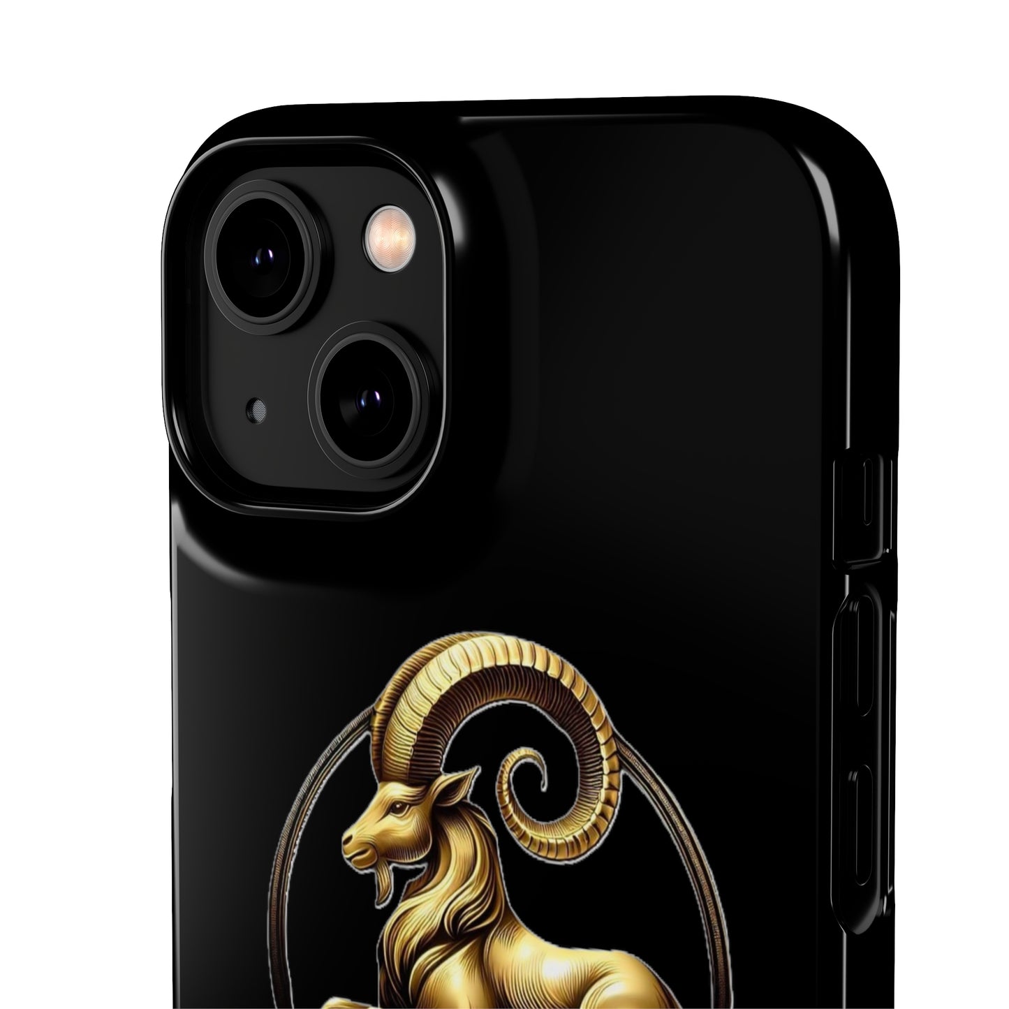 Capricorn Snap Cases