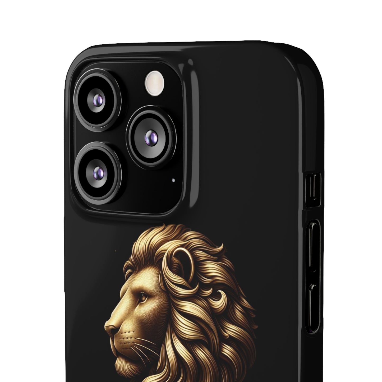 Leo Snap Cases