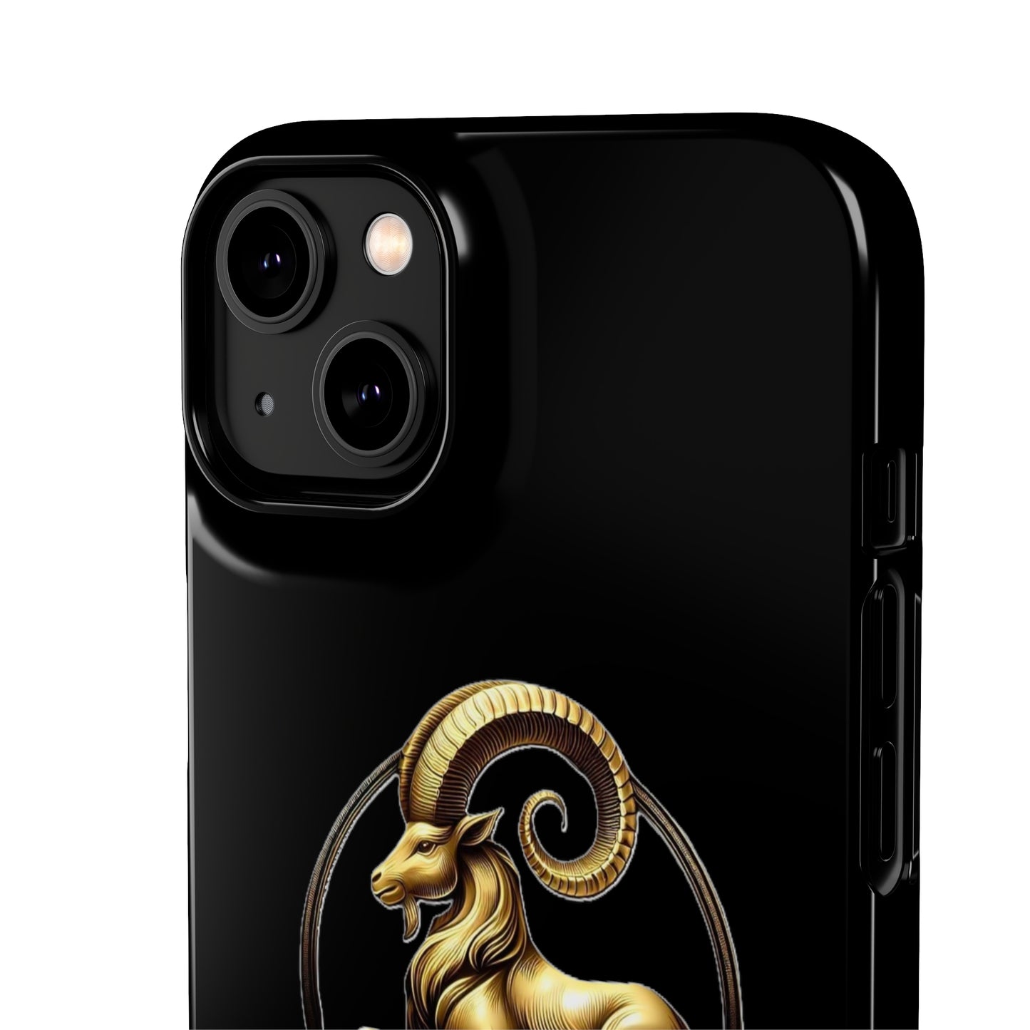 Capricorn Snap Cases