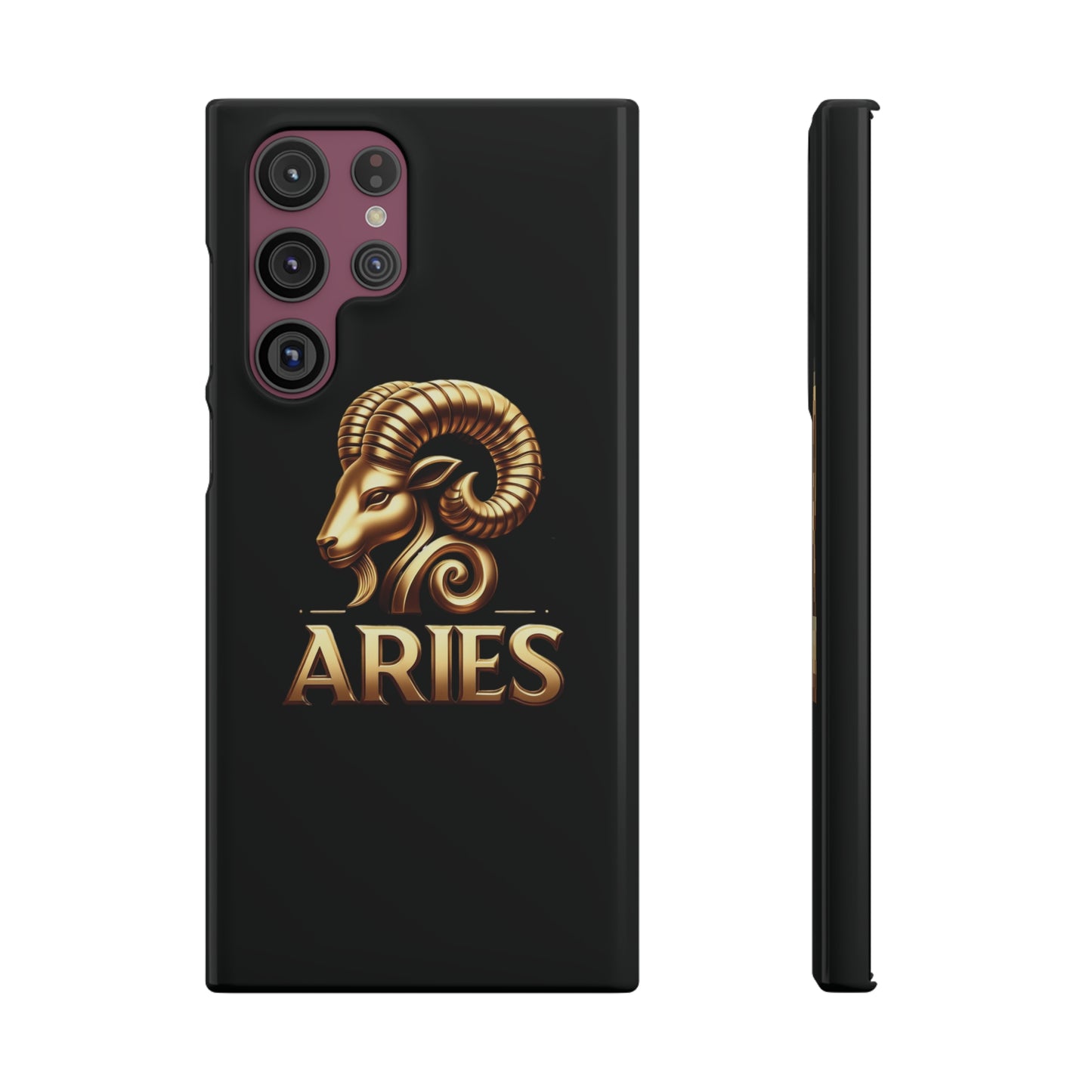 Aries  Snap Cases